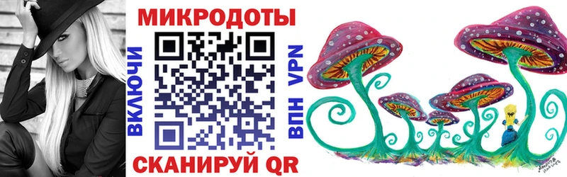 Псилоцибиновые грибы Psilocybe  Купить  Томилино 